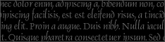 Lorem Ipsum - All the facts - Lipsum generator